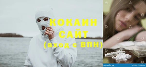 соль ск Нея