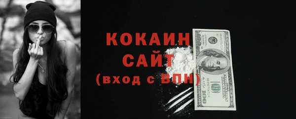 соль ск Нея