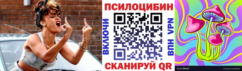 Псилоцибиновые грибы Psilocybine cubensis  Артём 